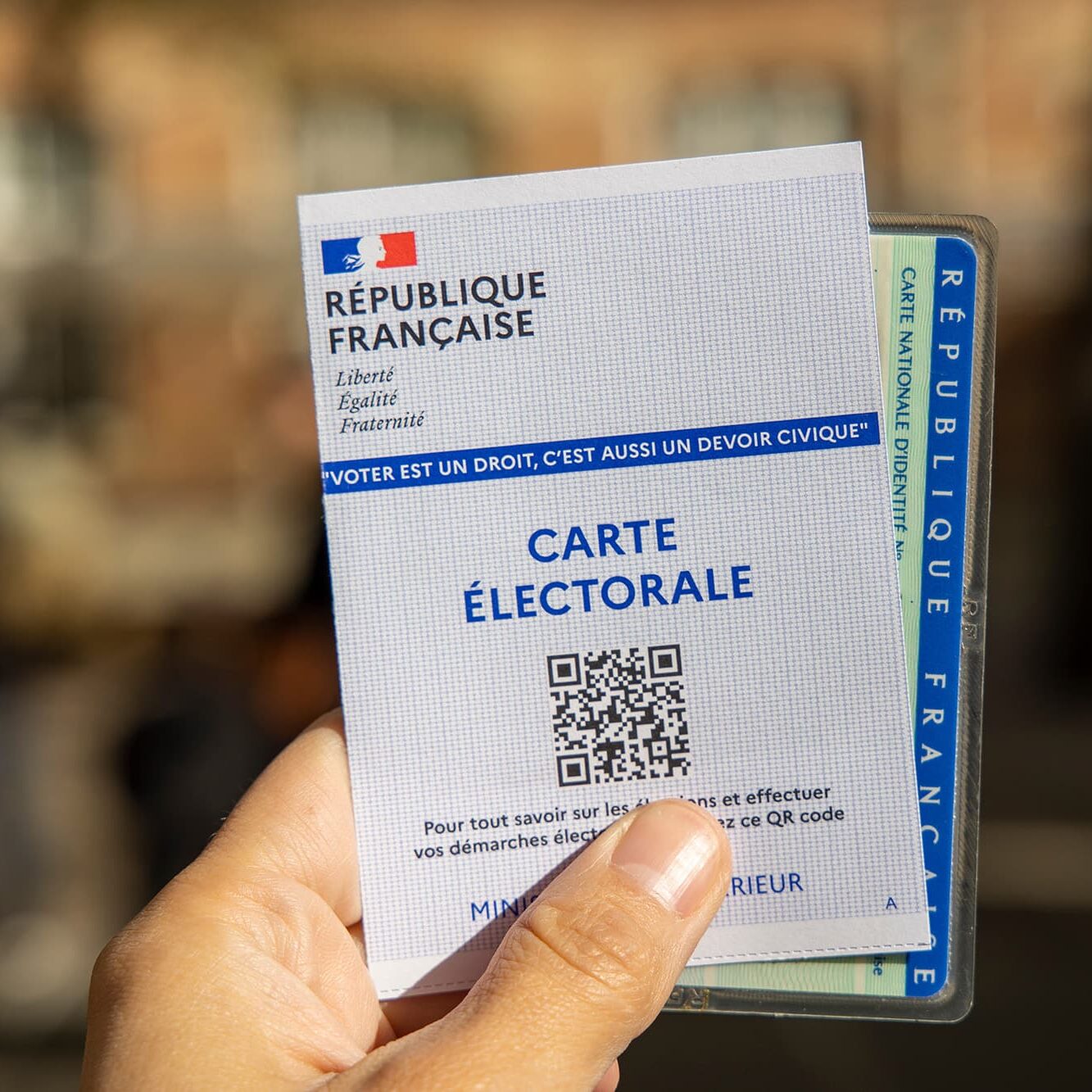 main d'électeur qui tient sa carte d'électeur et carte sa d'id